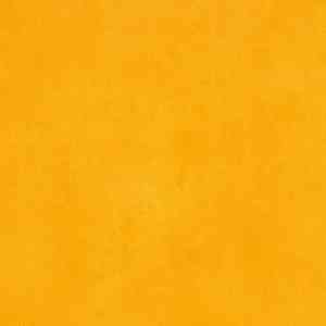 Линолеум FORBO Sarlon Resin 433756-432756 saffron фото ##numphoto## | FLOORDEALER